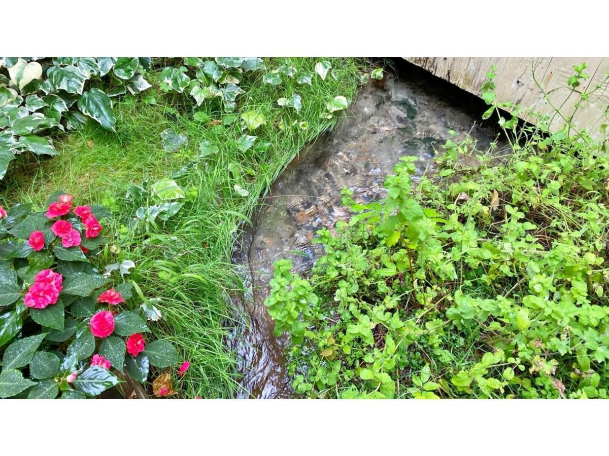 Restaurant & Hotel Traumerei - Vacation Stay 47810V Hakuba Ngoại thất bức ảnh